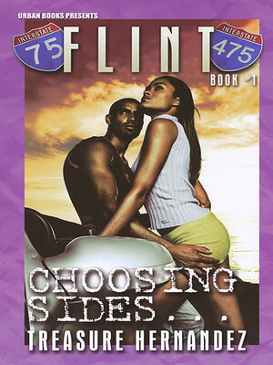 Flint Book 1 - ebook